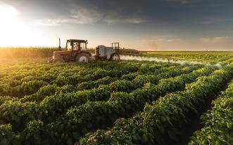 Tractor spraying vegetable field in sunset