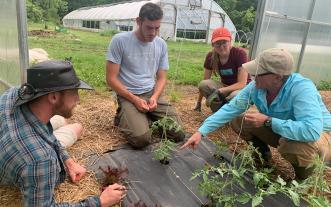 People looking at plants at vegetable farm