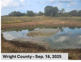 Pond in Wright County on Sept. 18, 2025