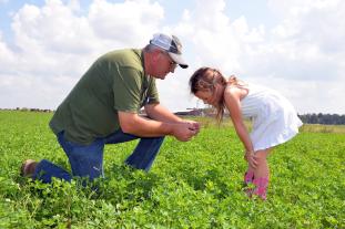 Charles Fletcher of Edgewood Dairy and Creamery tells his granddaughter about the value of good grazing forage. Courtesy of Edgewood Dairy