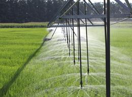 Watering a field