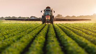 Tractor spraying rows of crops