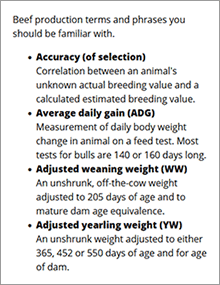 The first four definitions in the glossary.