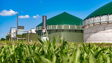 Biogas plant behind maize field