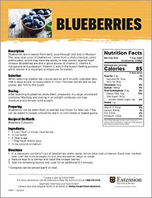 Blueberries handout.