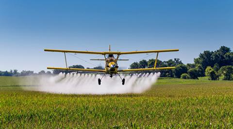 plane dusting field