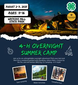 overnight summer camp flier icon.