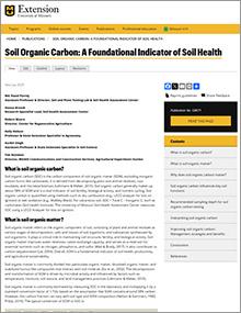G9071 thumbnail of webpage