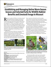 G9426 cover thumbnail