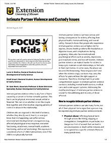 First page of Intimate Partner Violence and Custody Issues publication