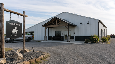 Veterinary Medical Education and Continuing Education