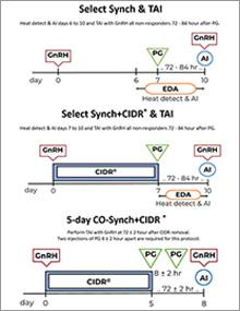 g2024 cover thumbnail - timeline protocols