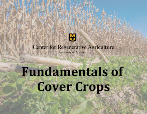 Fundamentals of Cover Crops