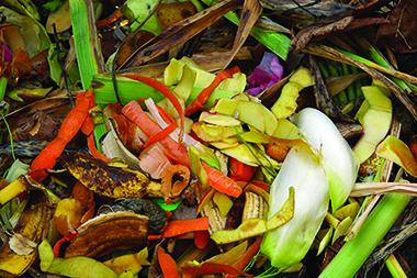 fruit, vegetable peels, grass and leaves creating a compost pile