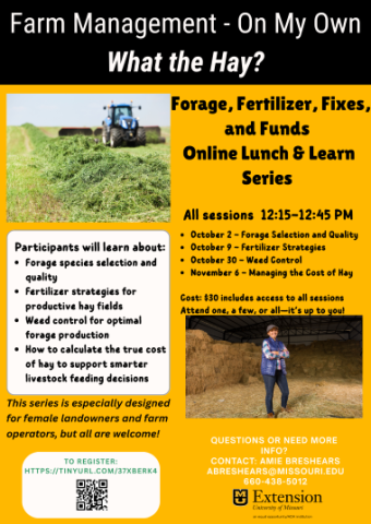 Flyer for the program