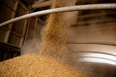 Grain pouring into an elevator.