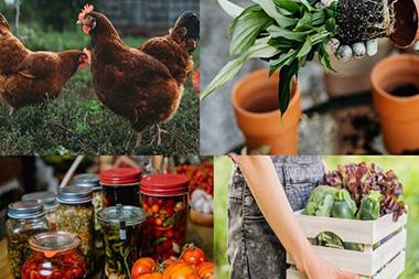A collage with chickens, potted plants, garden vegetables and canning.