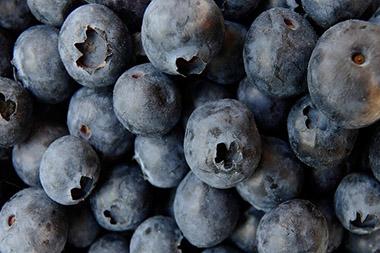 Close-up of pile of blueberries