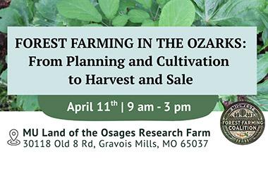 Forest Farming in the Ozarks postcard
