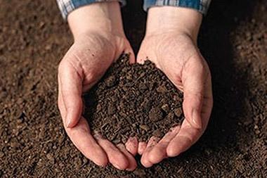 Hands holding soil