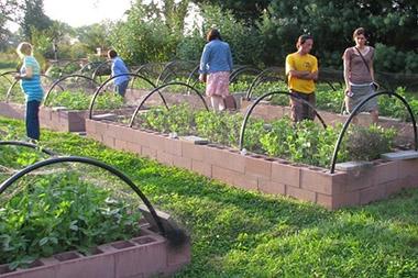 Several people walking through and looking at raised bed gardens.