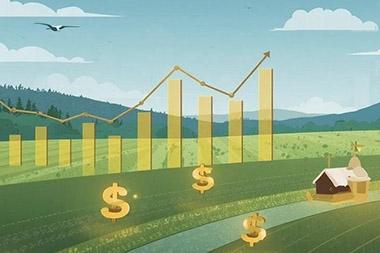 Illustration of farm with dollar signs and bar graph across it.