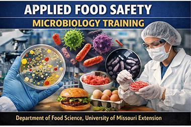 Collage of researchers in a lab showing a petri dish & testing food