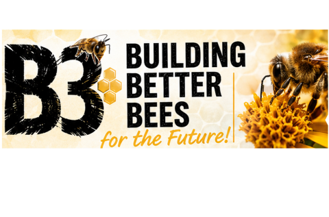bee on a flower and B3 building better bees logo