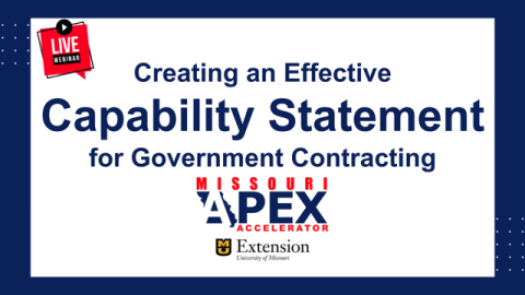 Creating an Effective Capability Statement program information
