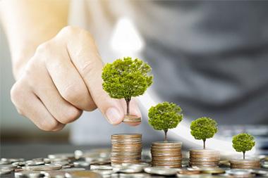 A person placing tree models on stacks of quarters.