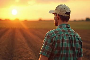 A man in a field with the sun setting in front of him.