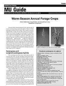 Warm-Season Annual Forage Crops