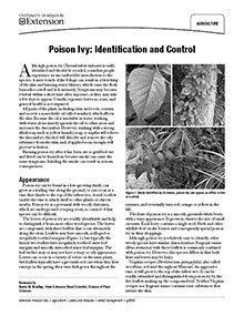 Poison Ivy Identification and Control