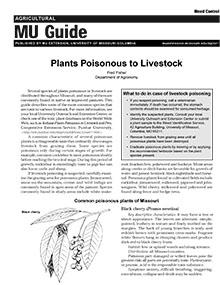 Plants Poisonous to Livestock