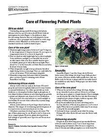Care of Flowering Gift Plants in the Home [fact sheet]