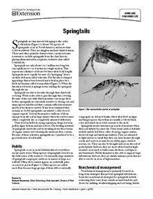 Springtails – Wisconsin Horticulture