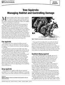 Vole Damage Prevention and Control Methods  Internet Center for Wildlife  Damage Management