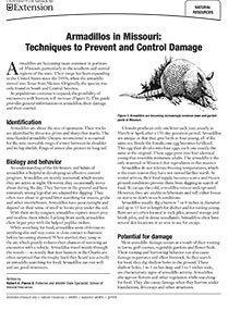 Armadillo Control Methods and Techniques