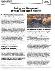 Antler Development in White-tailed Deer: Implications for Management