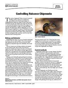 Chipmunk Trapping, Control of Nuisance Chipmunks