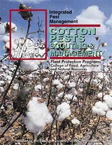 Managing Plant Bugs in Blooming Cotton