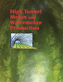 Cover art for publication M173