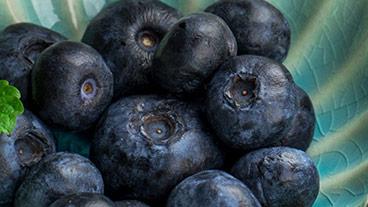 blueberries in a bowl