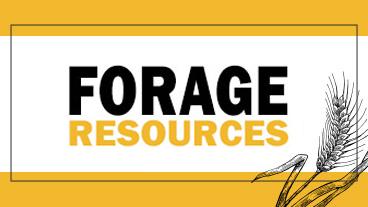 forages resources