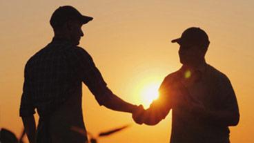 people shaking hands in a field