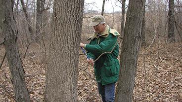 man testing trees