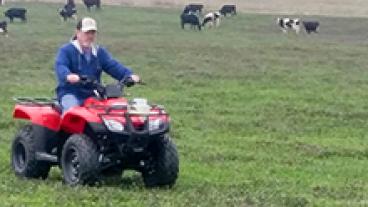 cows and man in cow pasture