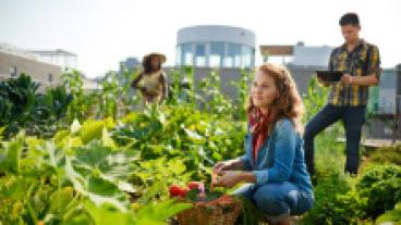 People in a city garden