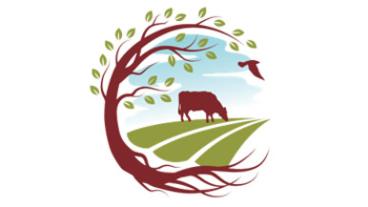 Center for Agroforestry logo