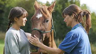 Two women examining a horse